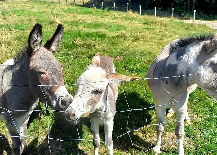 Le Grand La Chapelle (Lorraine)